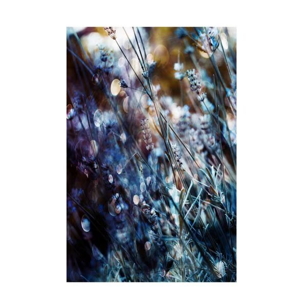 Delphine Devos 'Flowers Bubbles A Dreams' Canvas Art, 22x32, Trademark Fine Art, Mfr#: 1X14813-C2232GG